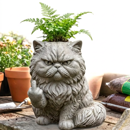 The Grumpy Planter - Grumpy Cat in the garden
