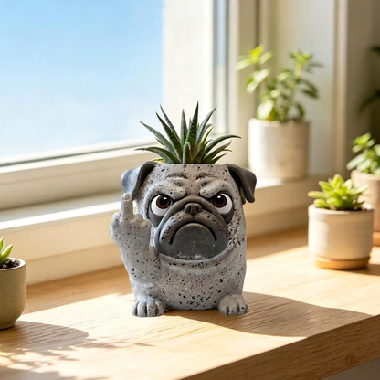 The Grumpy Planter - Grumpy Pug on sunny shelf